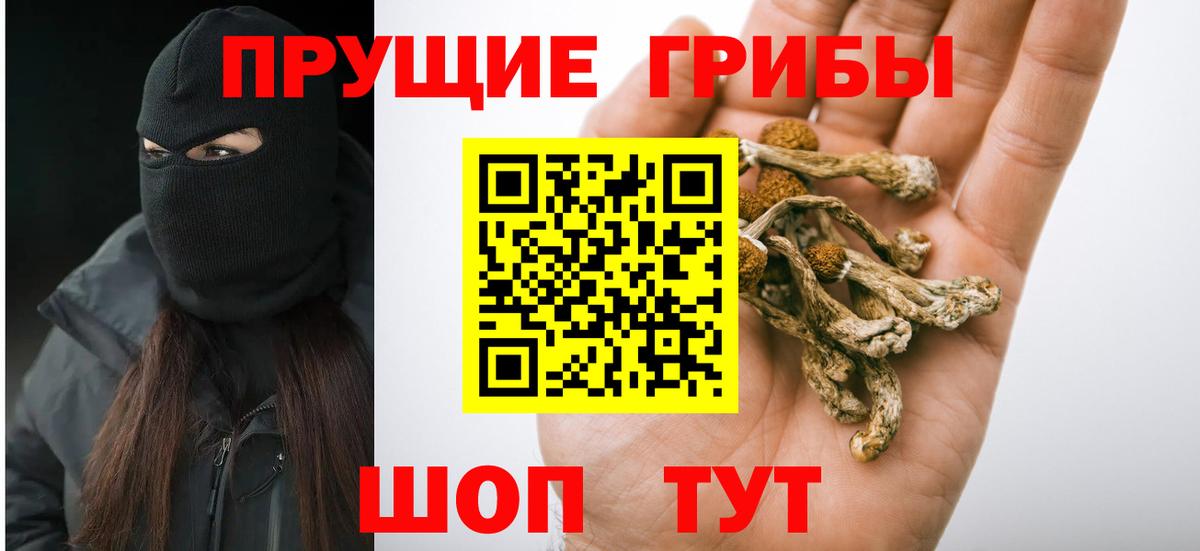 Псилоцибиновые грибы GOLDEN TEACHER  как найти закладки  Вятские Поляны  Вход с VPN 